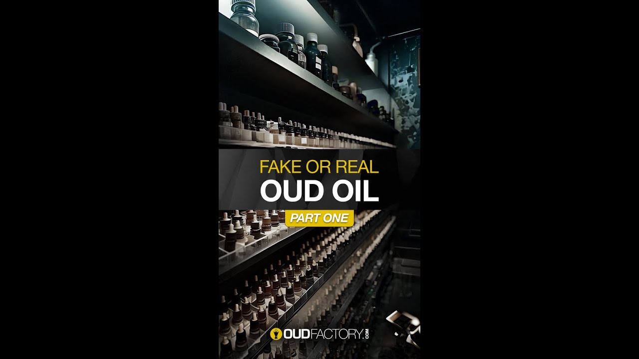 Fake or Real Oud Oil (Part 1) #oud #perfume #oudfactory