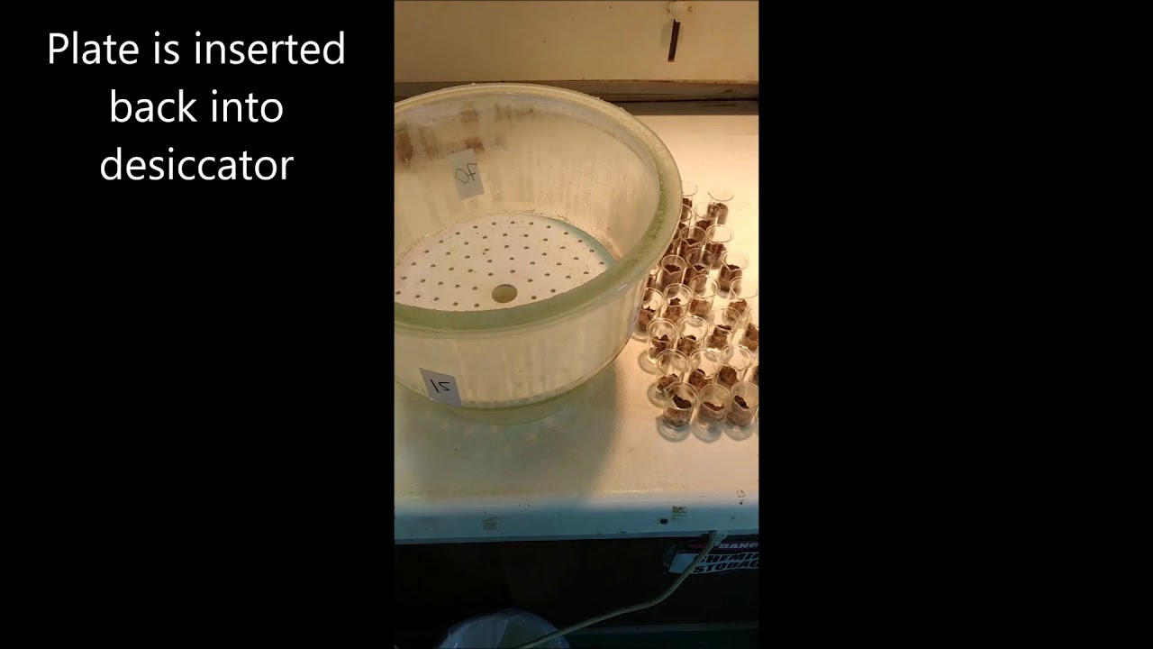 Soil microbial carbon measurement with chloroform fumigation
