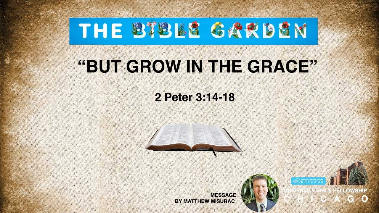 (Grace Series # 2) But Grow in the Grace/ Chicago UBF /2 Peter 3:14-18