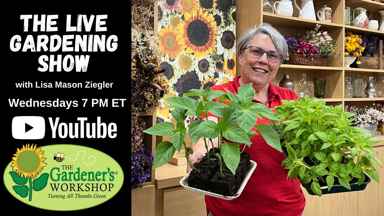 Flower Gardening Show: Lisa's Seedling Care Schedule & Top Tips