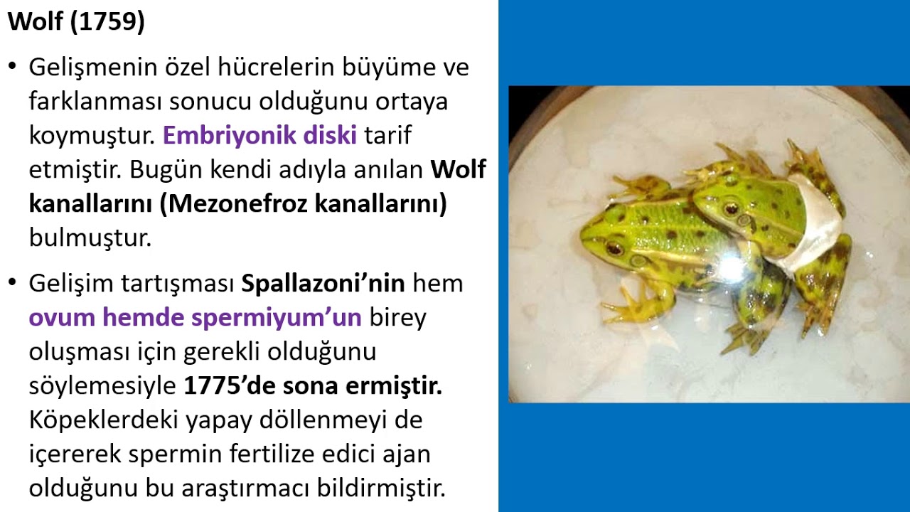 Embriyolojiye Giriş