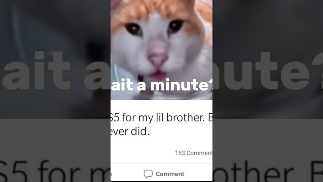 Wait a minute... 