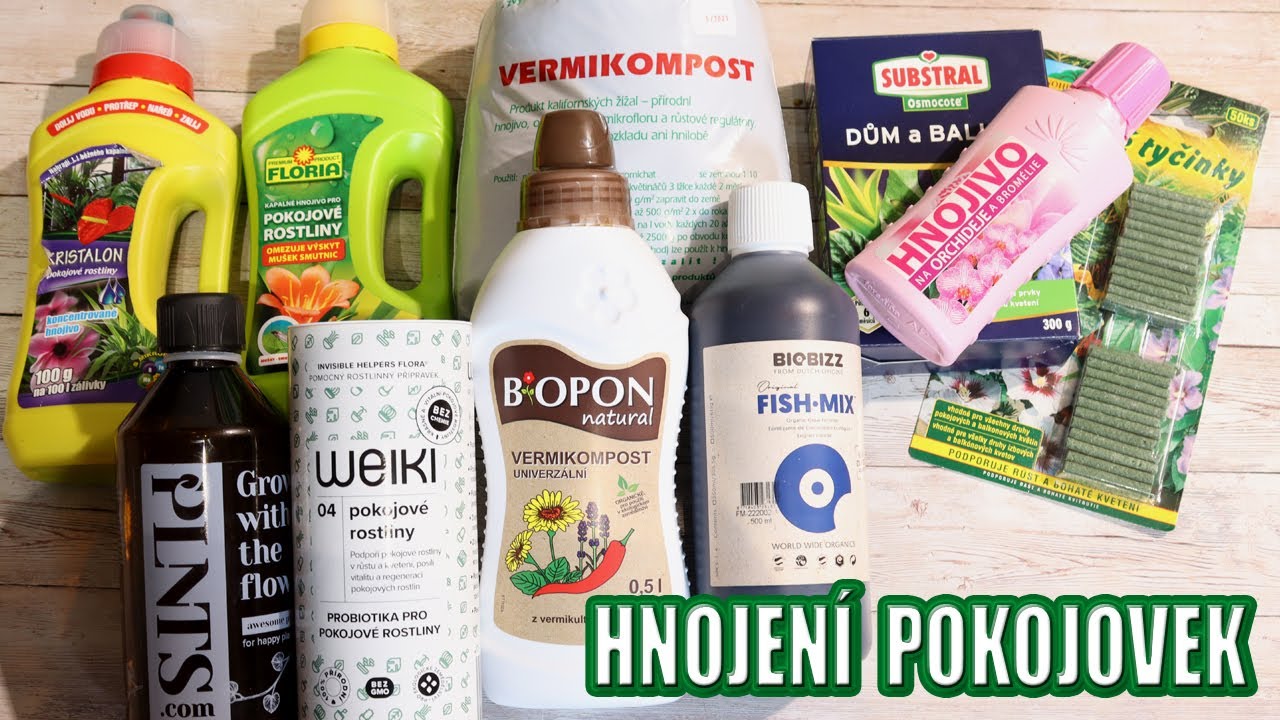 Hnojení pokojovek