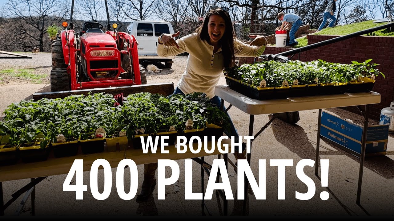 75LBS OF TATERS, 400 VEGGIES, RABBITS, A ROOT CELLAR, BABY CHICKS & A DRUM SOLO?!