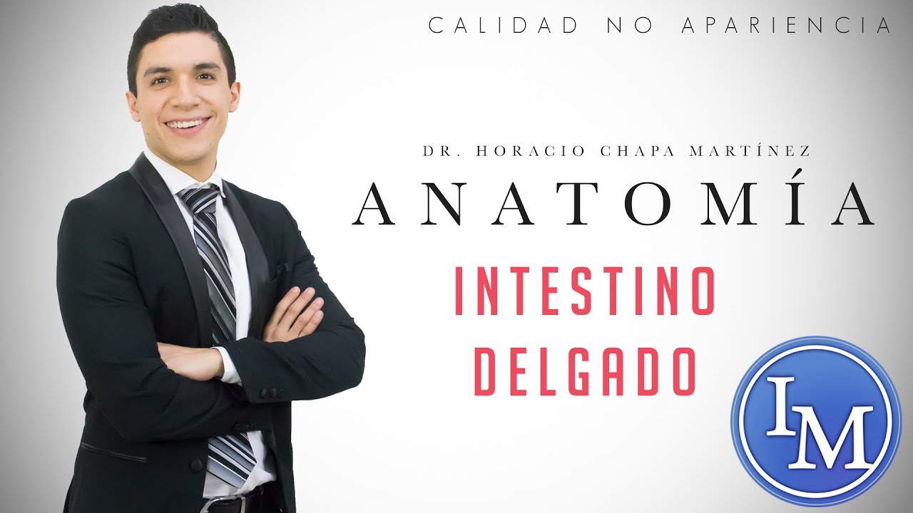Anatomía | Abdomen | Duodeno e Intestino Delgado