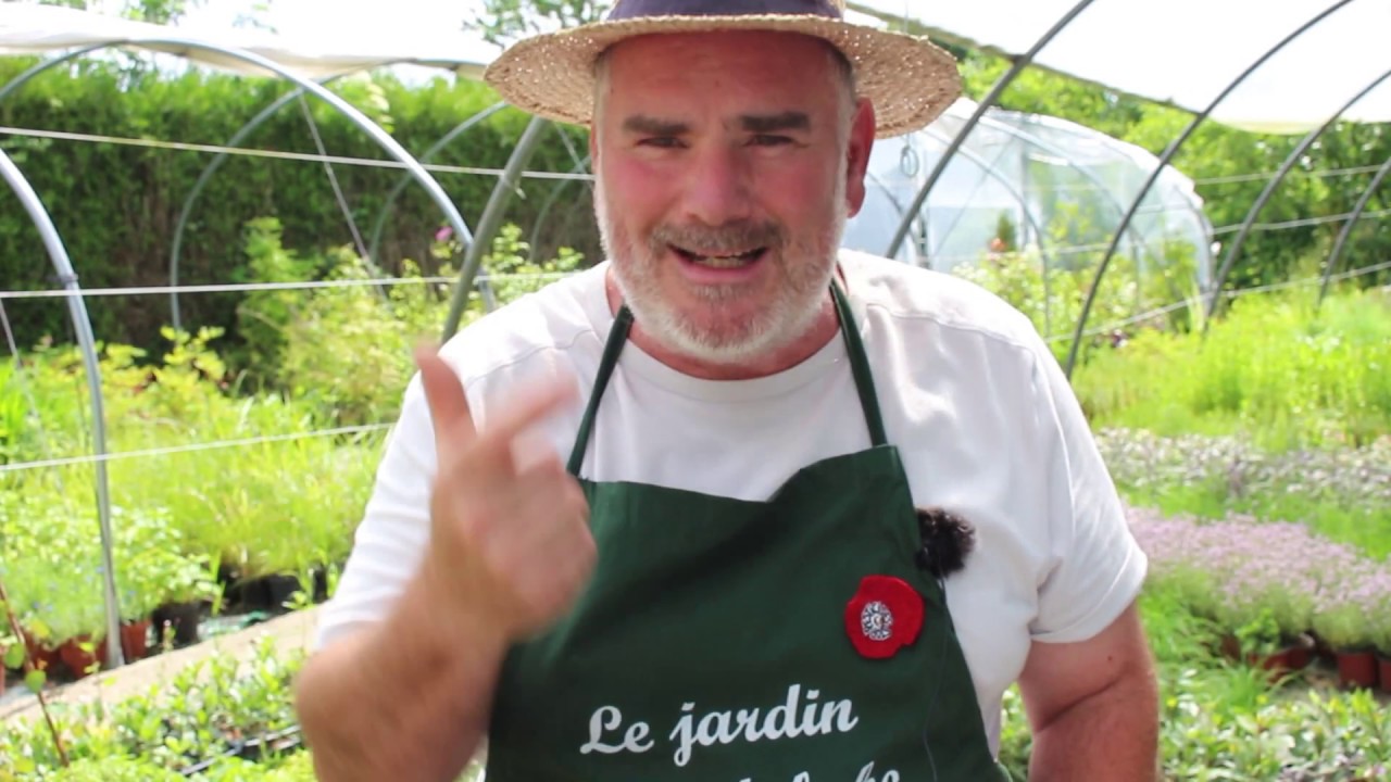 Comment sécher des plantes aromatiques comme un pro.
