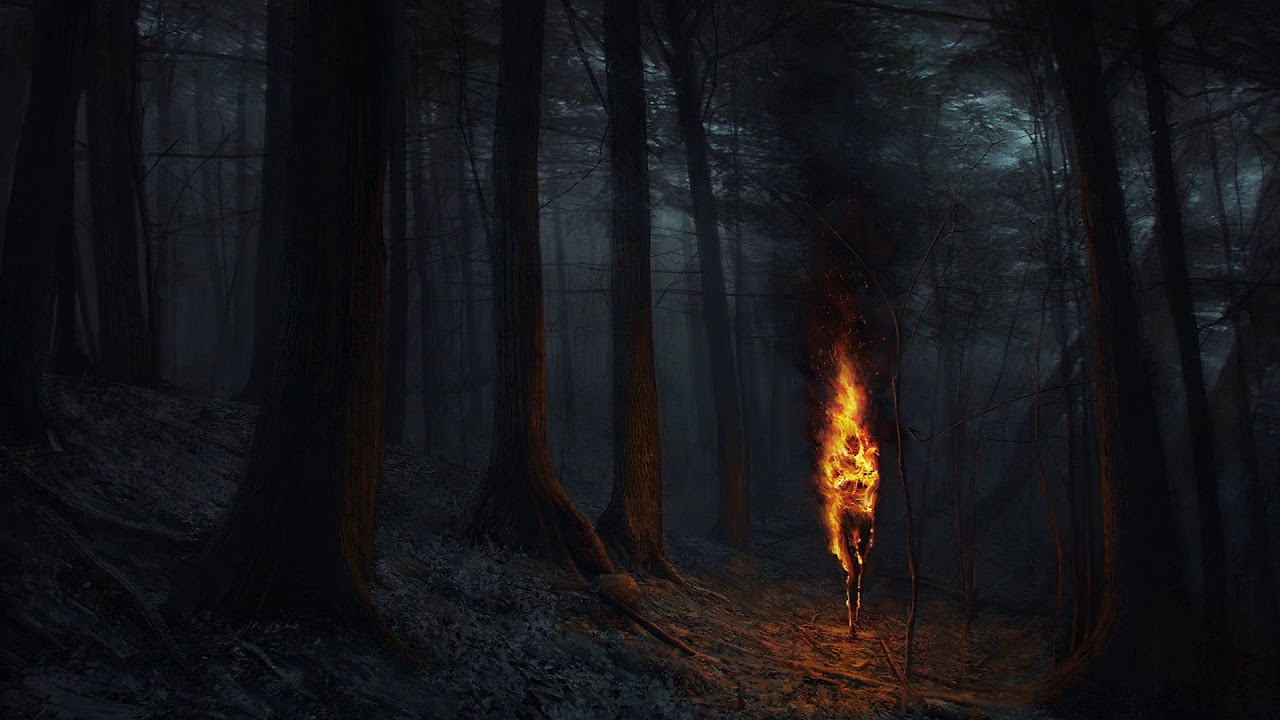 Matadi - Into the Forest