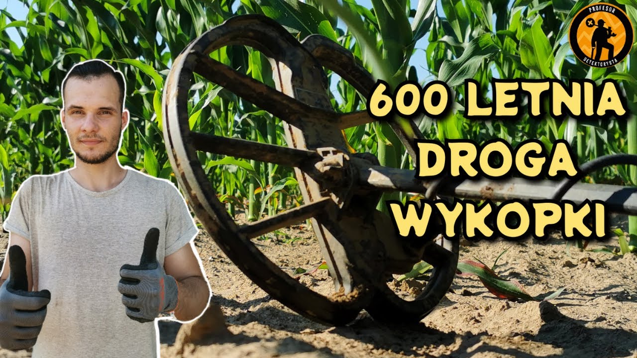 W KUKURYDZY! WARTO BYŁO! DROGA ŚREDNIOWIECZNA ( wykopki 28.06.2022r) 