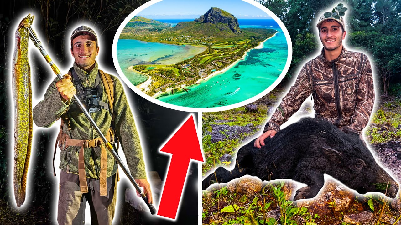 Je Pars Chasser et Pêcher à l'Île Maurice : Anguille Géante et Cochon Marron dans la Jungle !