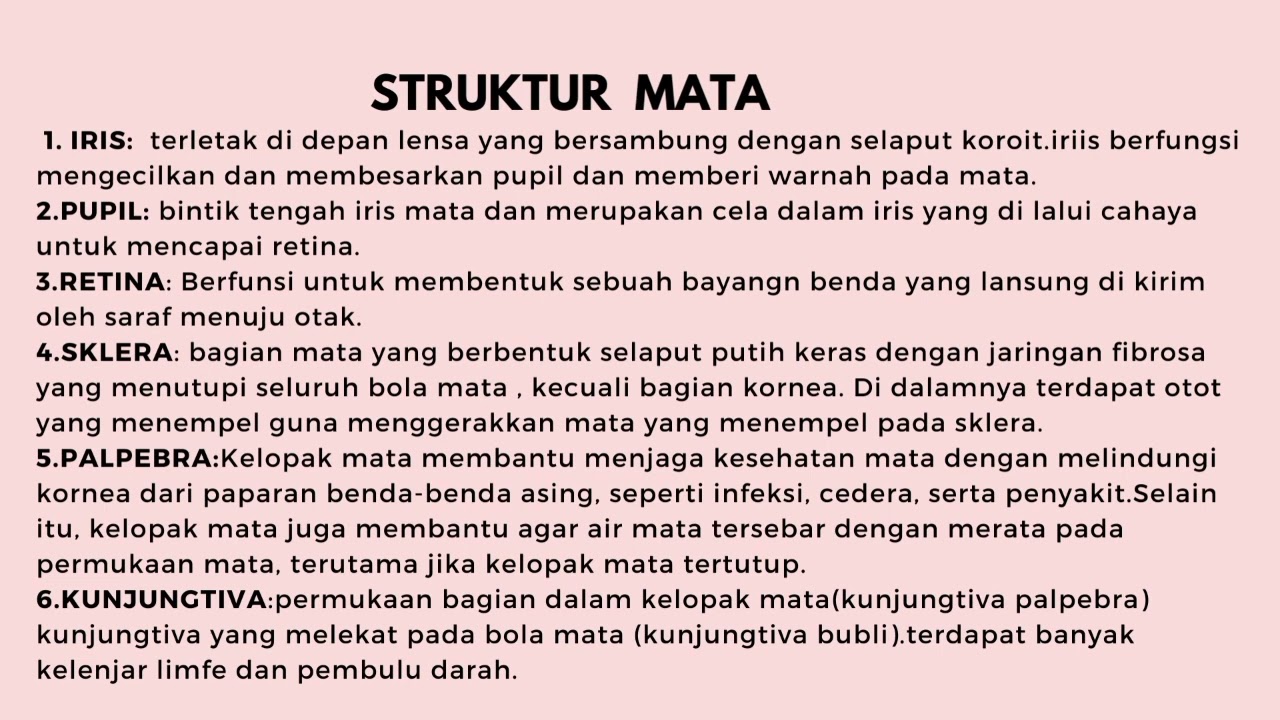 Anatomi fisiologi sistem indera mata dan kulit