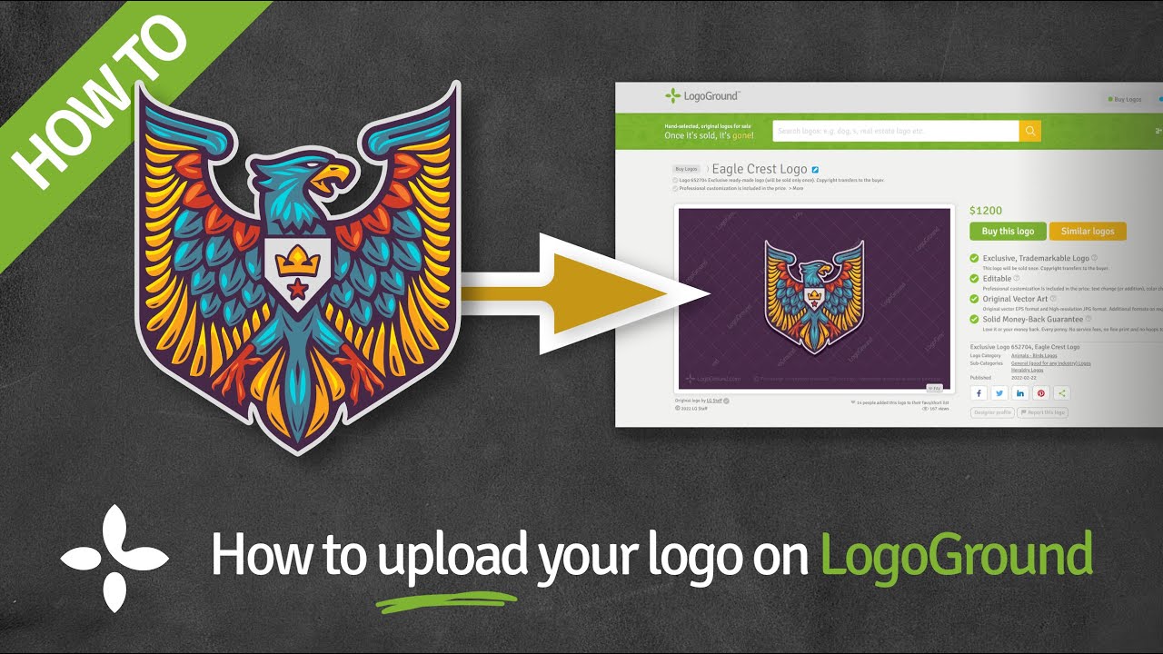 Logo Upload Tutorial for LogoGround