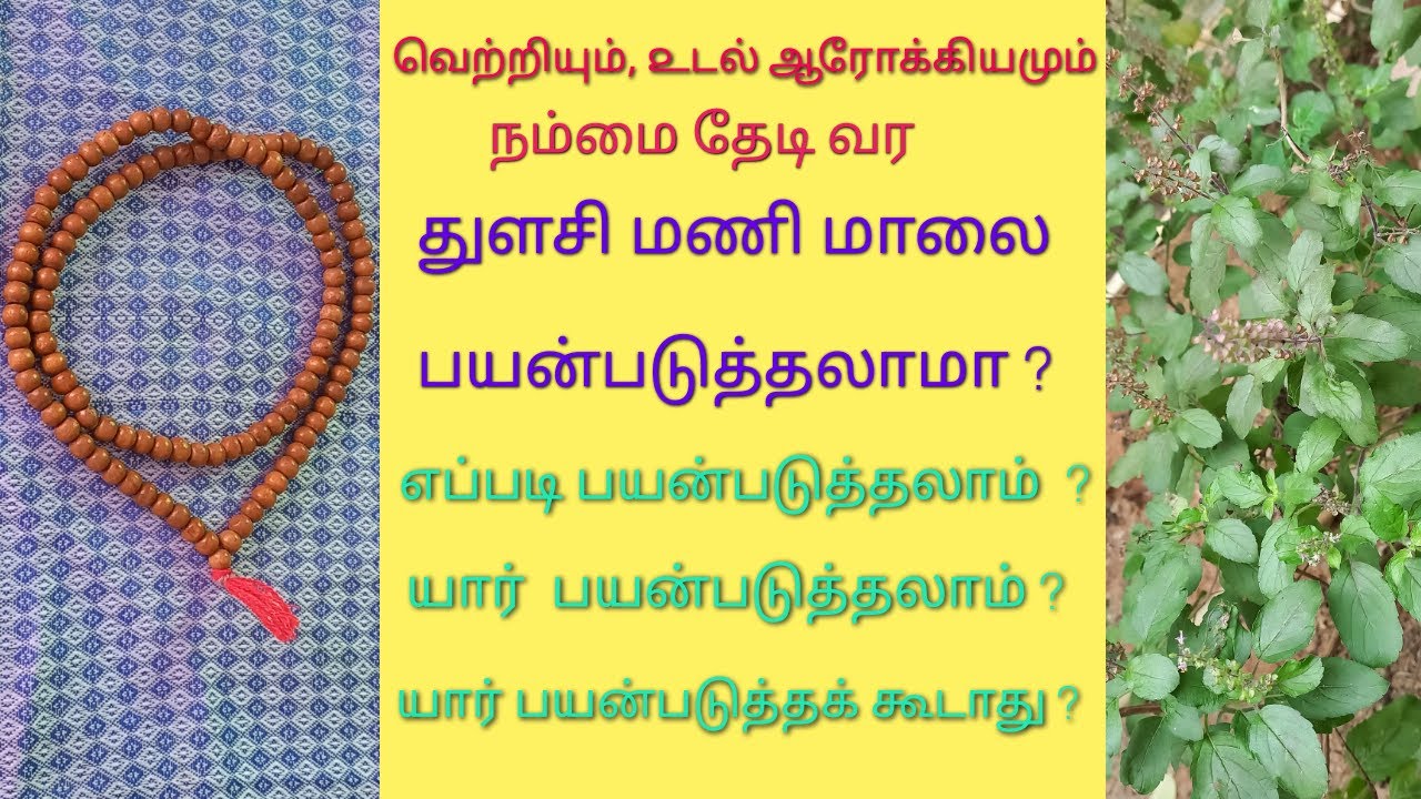 Benefits of wearing tulsi mala  in tamil / துளசி மாலை பயன்கள் / Rules of wearing tulsi mala