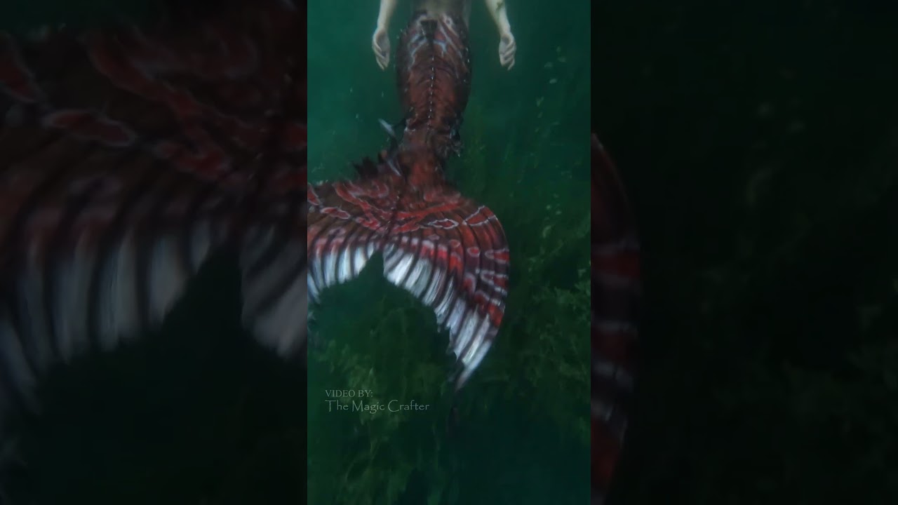WILD MERMAID SWIMS ABOVE SEAWEED #shorts