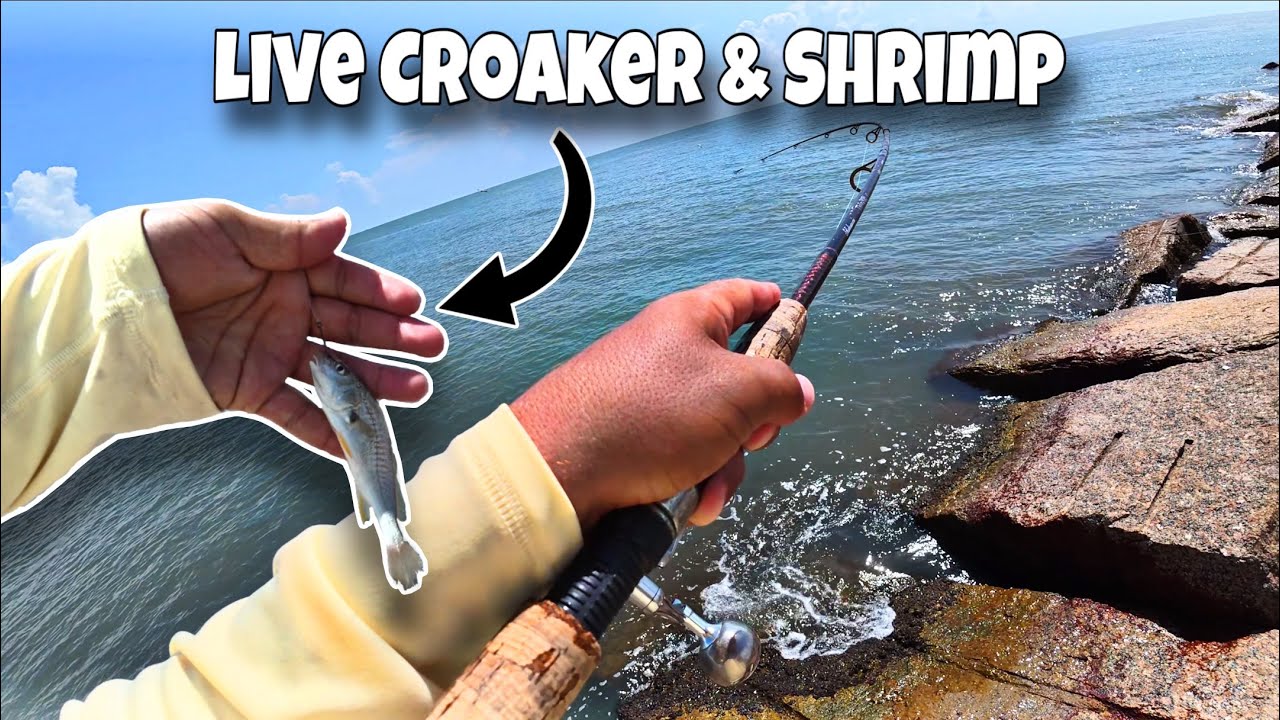 Texas Heat Bite: Speckled Trout & Pompano at Surfside Jetty