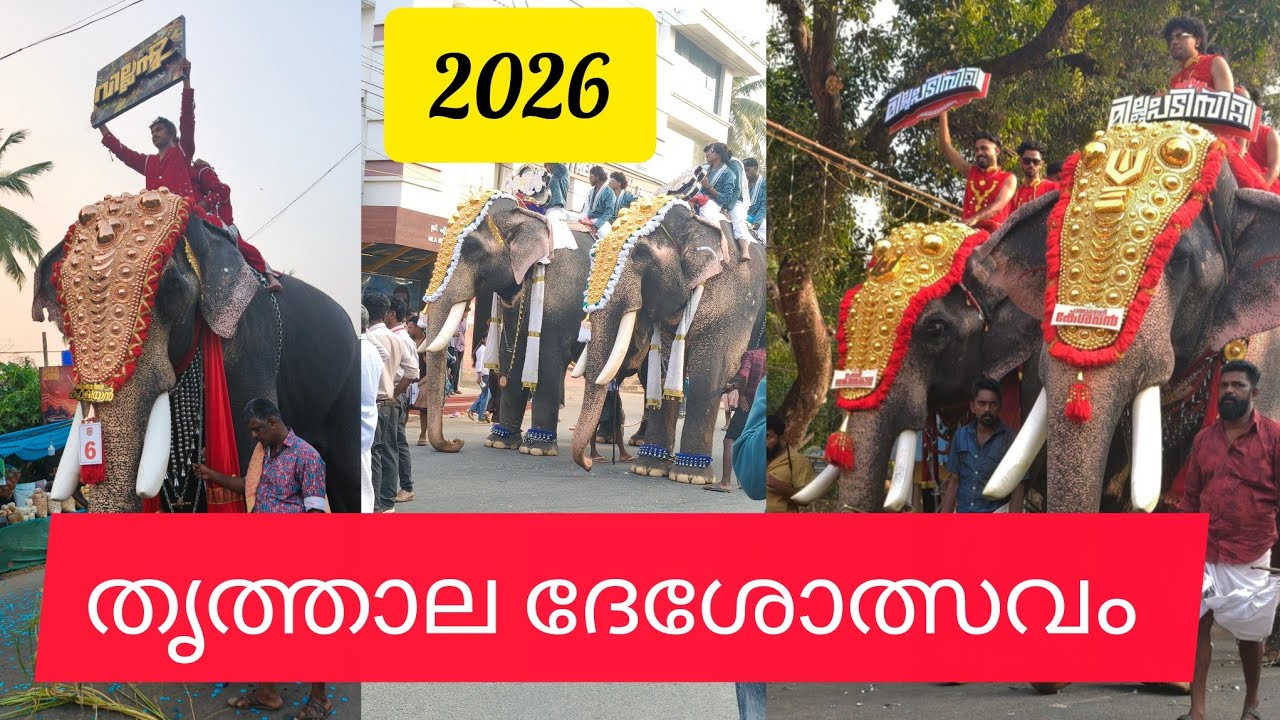 Thrithala Fest 2026💥💥💥Evening 🔥Highlights Thrithala Nercha 2026