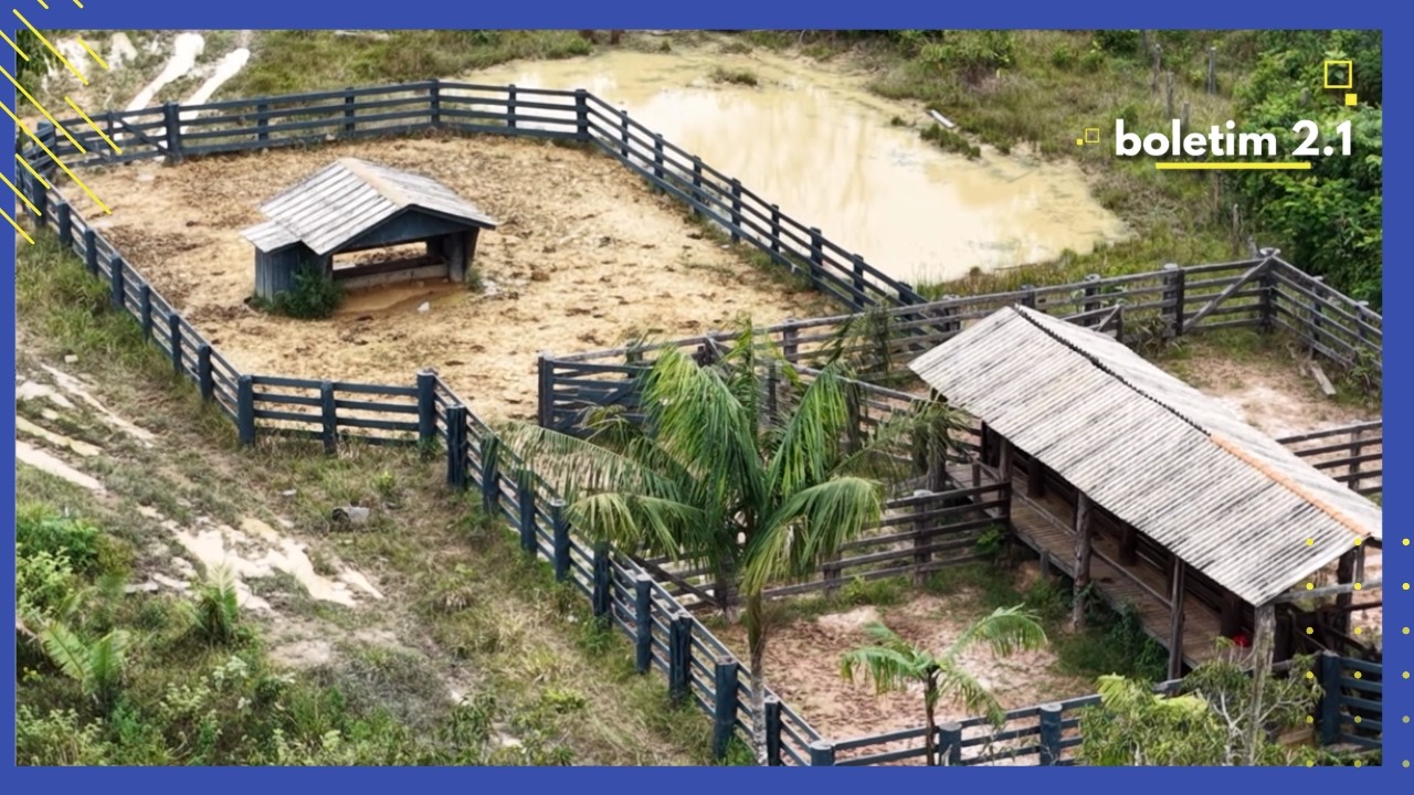 BOLETIM 2.1 - OPERAÇÃO TAMOIOTATÁ APLICA MULTAS E EMBARGA ÁREA EM HUMAITÁ