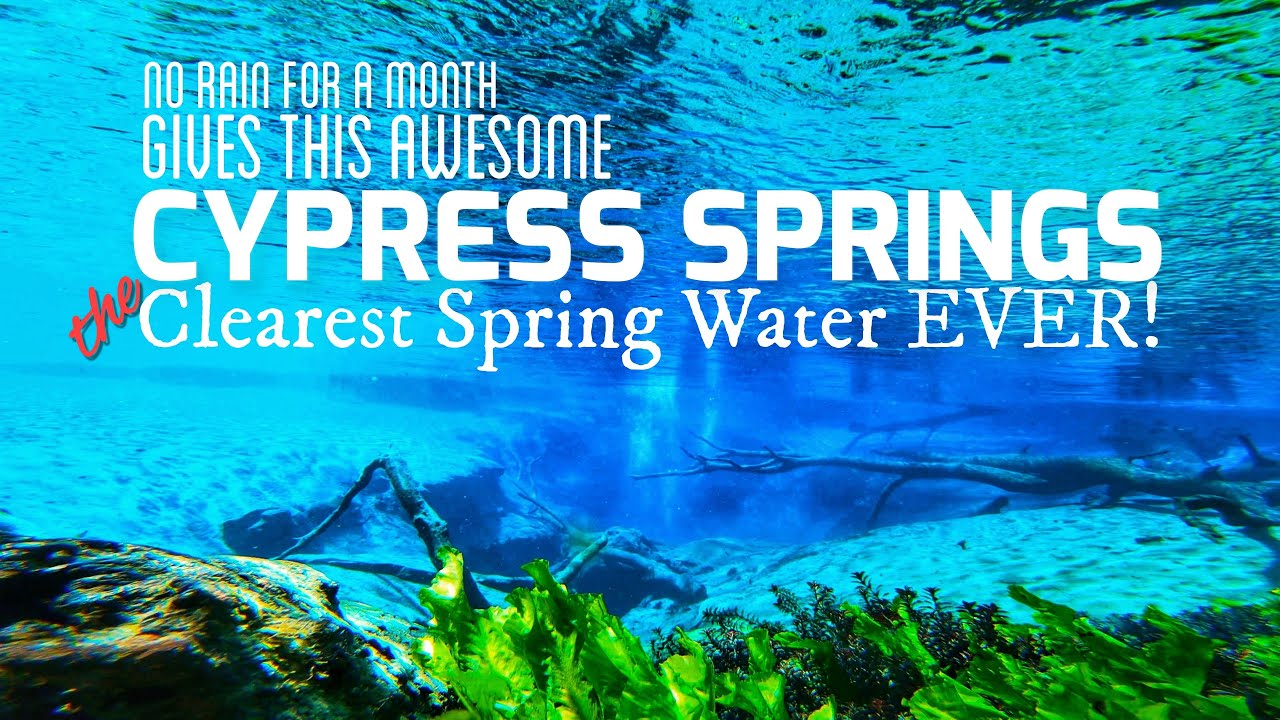 Amazing CLARITY Cypress Springs #kayaking 
