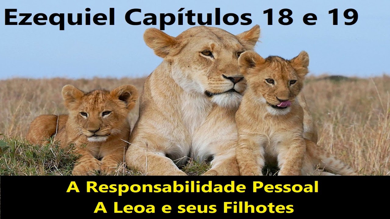 Ezequiel 18 e 19 A responsabilidade pessoal, A Leoa e seus Filhotes