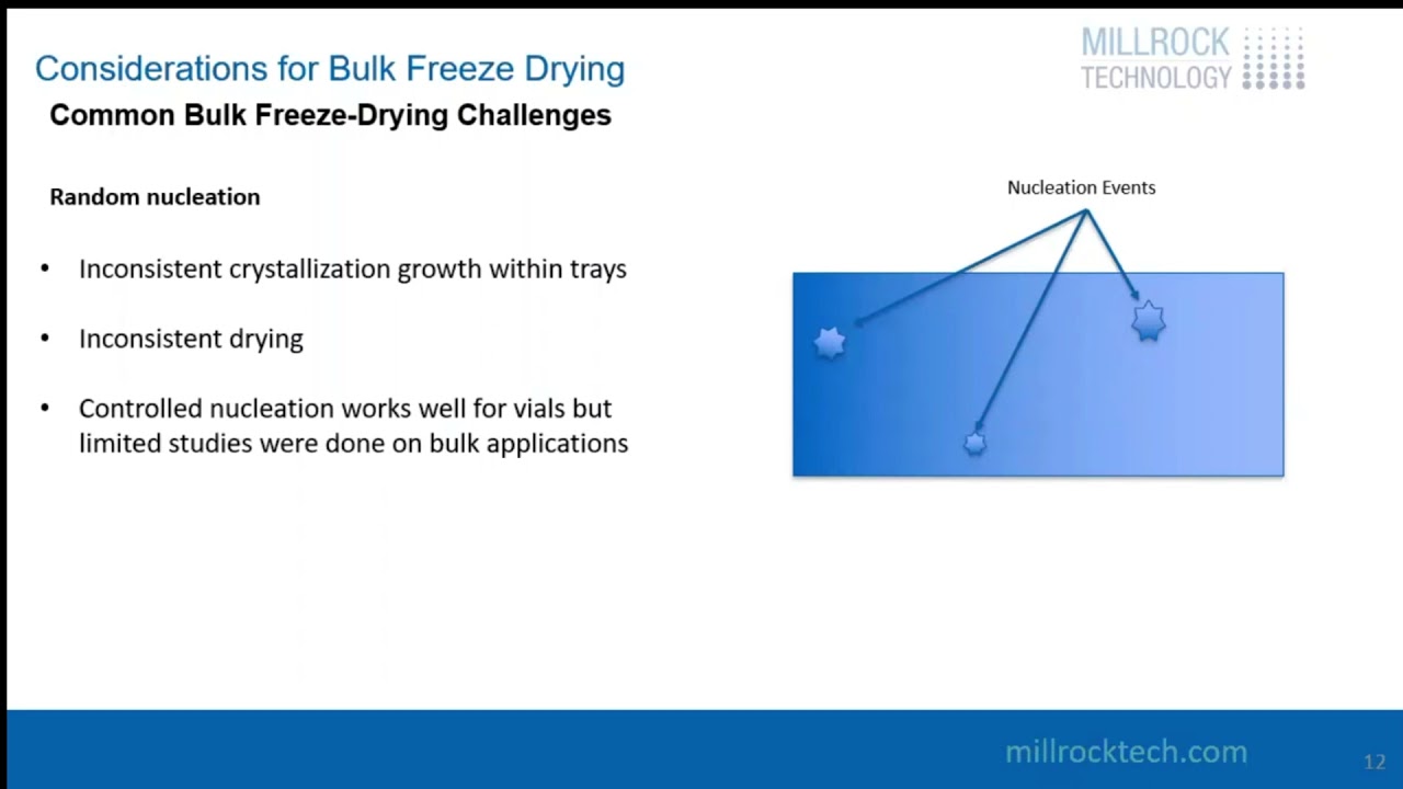 Millrock Technology Considerations for Bulk Freeze Drying