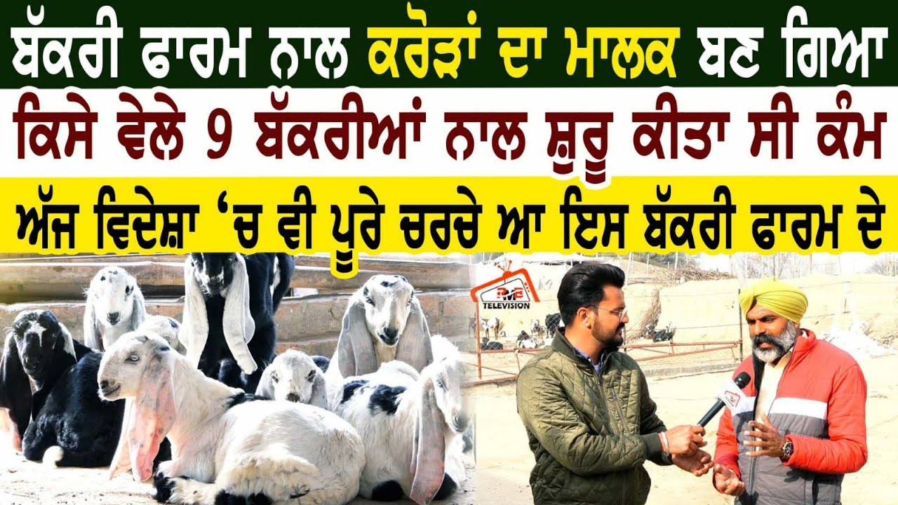 ਬੱਕਰੀ ਫਾਰਮ ਨਾਲ ਕਰੋੜਾਂ ਦਾ ਮਾਲਕ ਬਣ ਗਿਆ ਕਿਸੇ ਵੇਲੇ 9 ਬੱਕਰੀਆਂ ਨਾਲ ਸ਼ੁਰੂ ਕੀਤਾ ਸੀ ਕੰਮ |