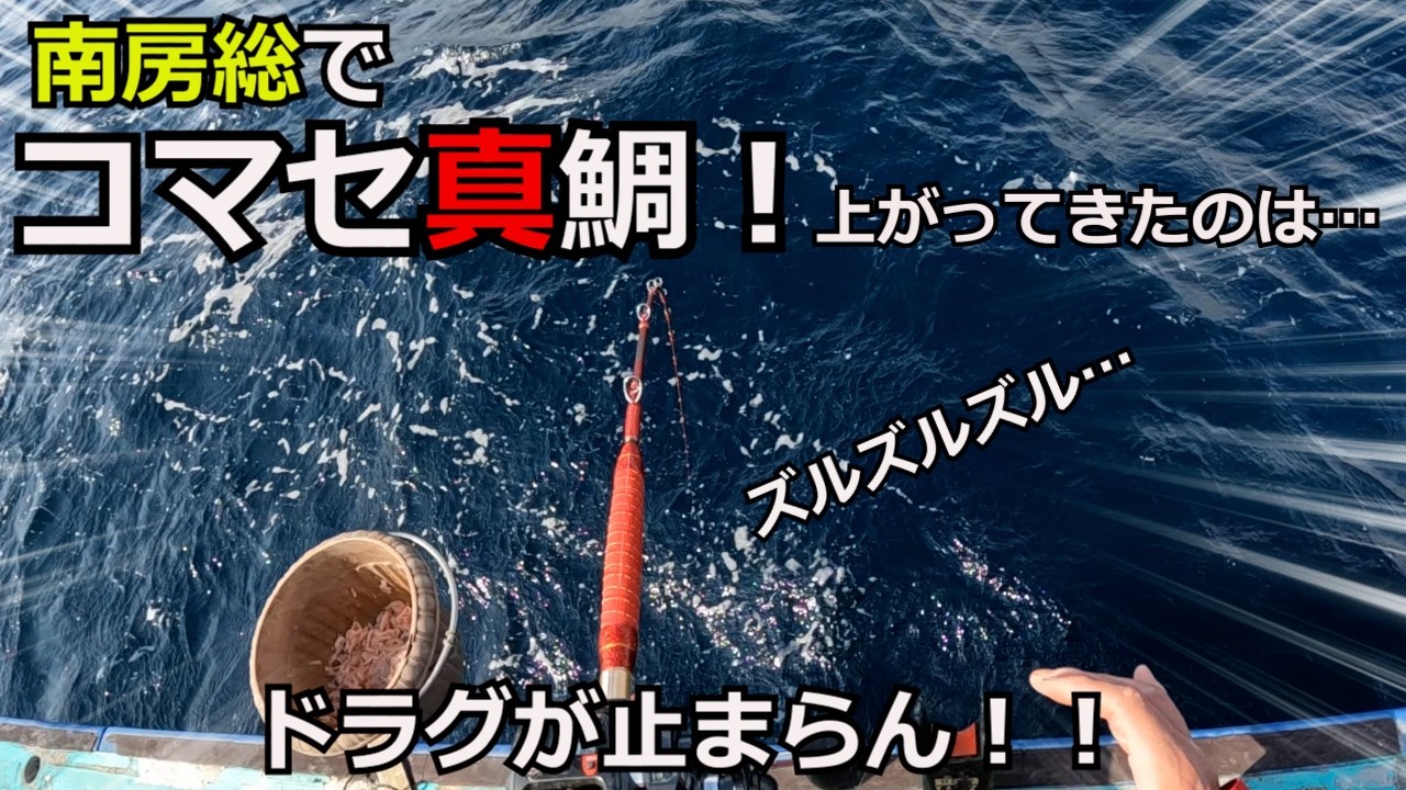 【大鯛を求めて】（その1）コマセ真鯛で洲崎モンスターを狙う三流釣師！上がってきたのは&hellip;