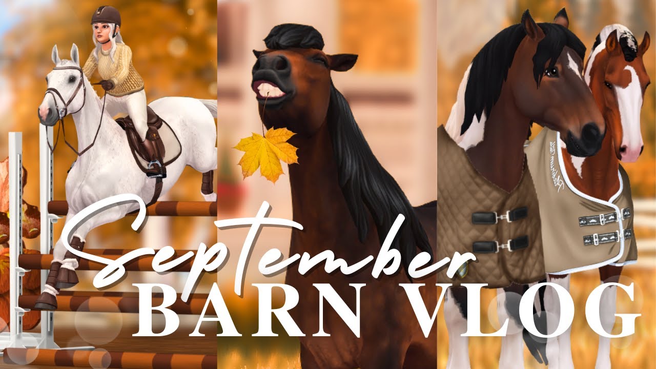 Сентябрьский блог Barn Vlog: уроки, лонжинг, новости, обучение и многое другое! II SSO RRP