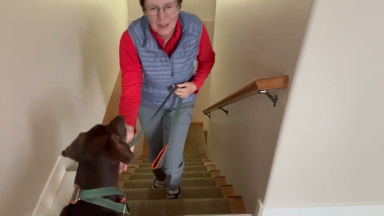 Heather Schneider and Gabby - Novice athlete trick video.