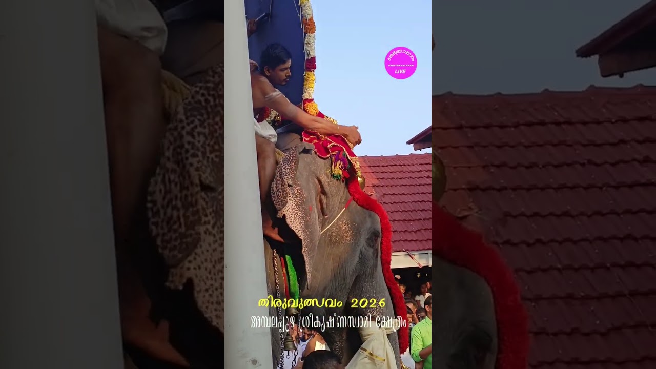 അമ്പലപ്പുഴ ശ്രീകൃഷ്ണ സ്വാമി ക്ഷേത്രം ✨തിരുവുത്സവം 2026✨ ആറാട്ട് പുറപ്പാട് 💕