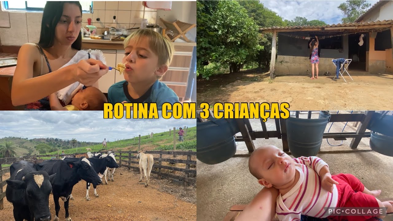 DE VOLTA A MINHA ROTINA *que dia corrido *
