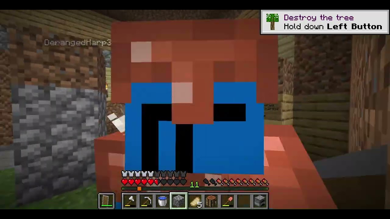 minecraft weird glitch