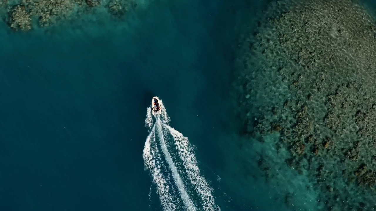 JCU Marine Biology: Where Science Meets Paradise