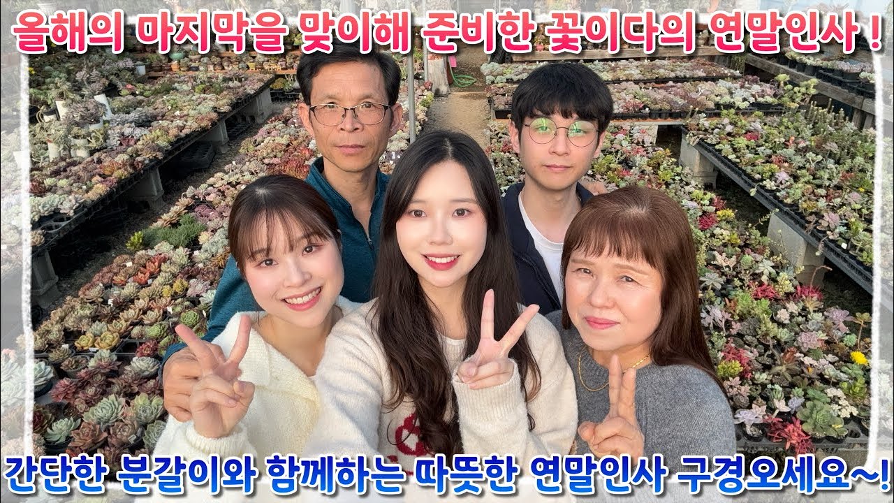 올해의 마지막을 맞이해 준비해 꽃이다의 연말인사 ! 간단한 분갈이와 함께하는 따뜻한 연말인사 구경오세요 ~!