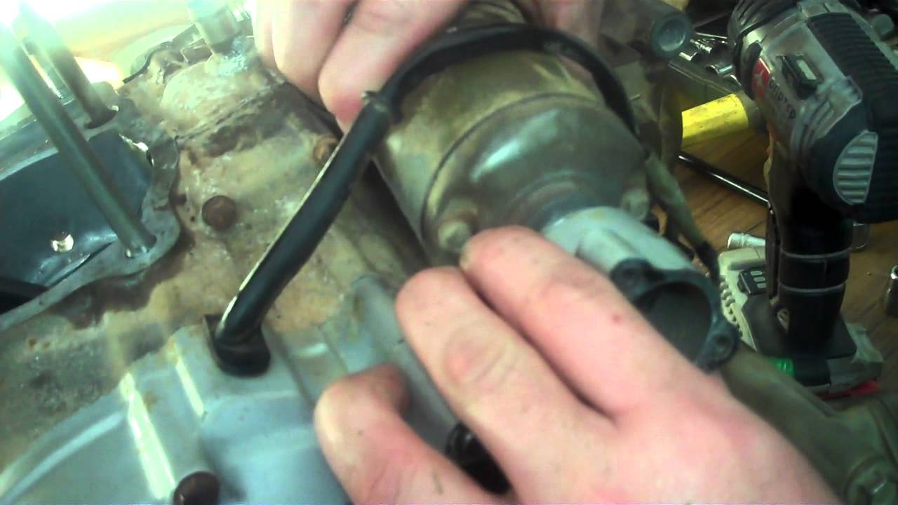 Honda 300 Fourtrax Stator Cover