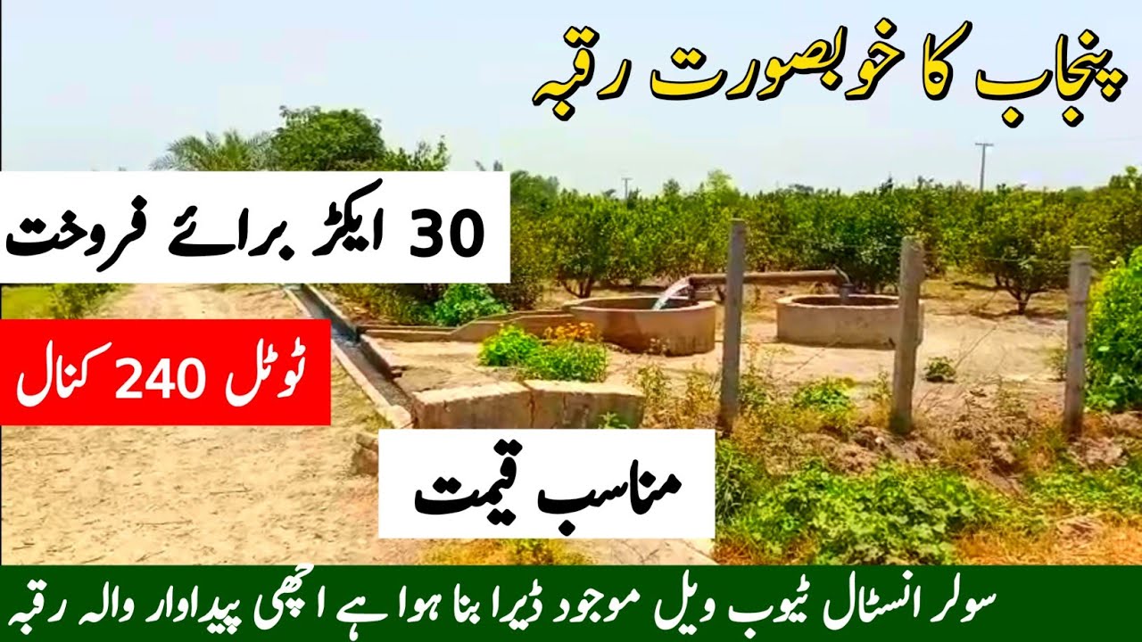 30 Acer Agriculture land for sale in Punjab Pakistan | Zameen For Sale | Raqba for sale | ep 228