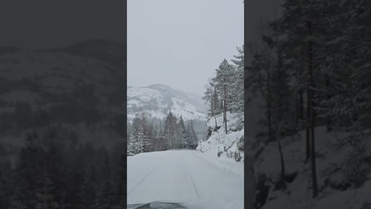 Beautiful snowy landscape 