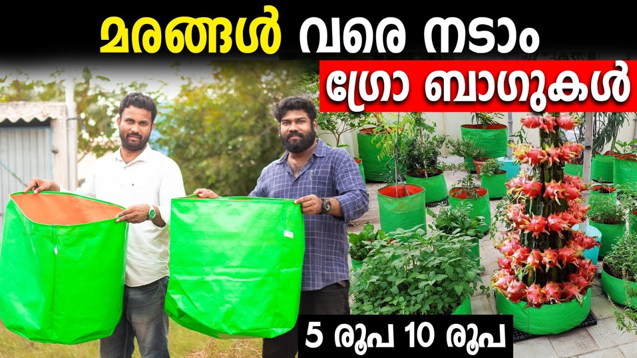 മരം വരെ നടാവുന്ന ഗ്രോ ബാഗുകള്‍ 5 രൂപ 10 രൂപ | നഴ്സറിക്കാരുടെ ചതിയില്‍ വീഴാതെ സൂക്ഷിക്കുക #growbag