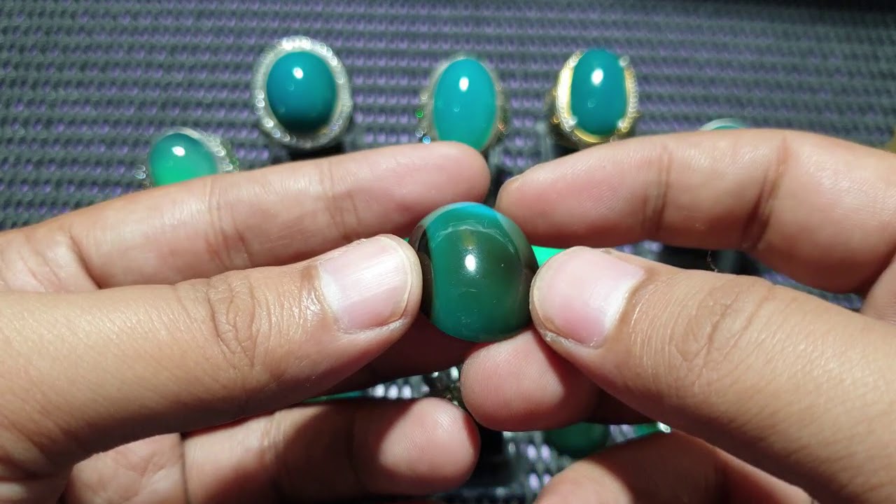 BACAN COKLAT BACAN HALMAHERA BACAN KRISTAL