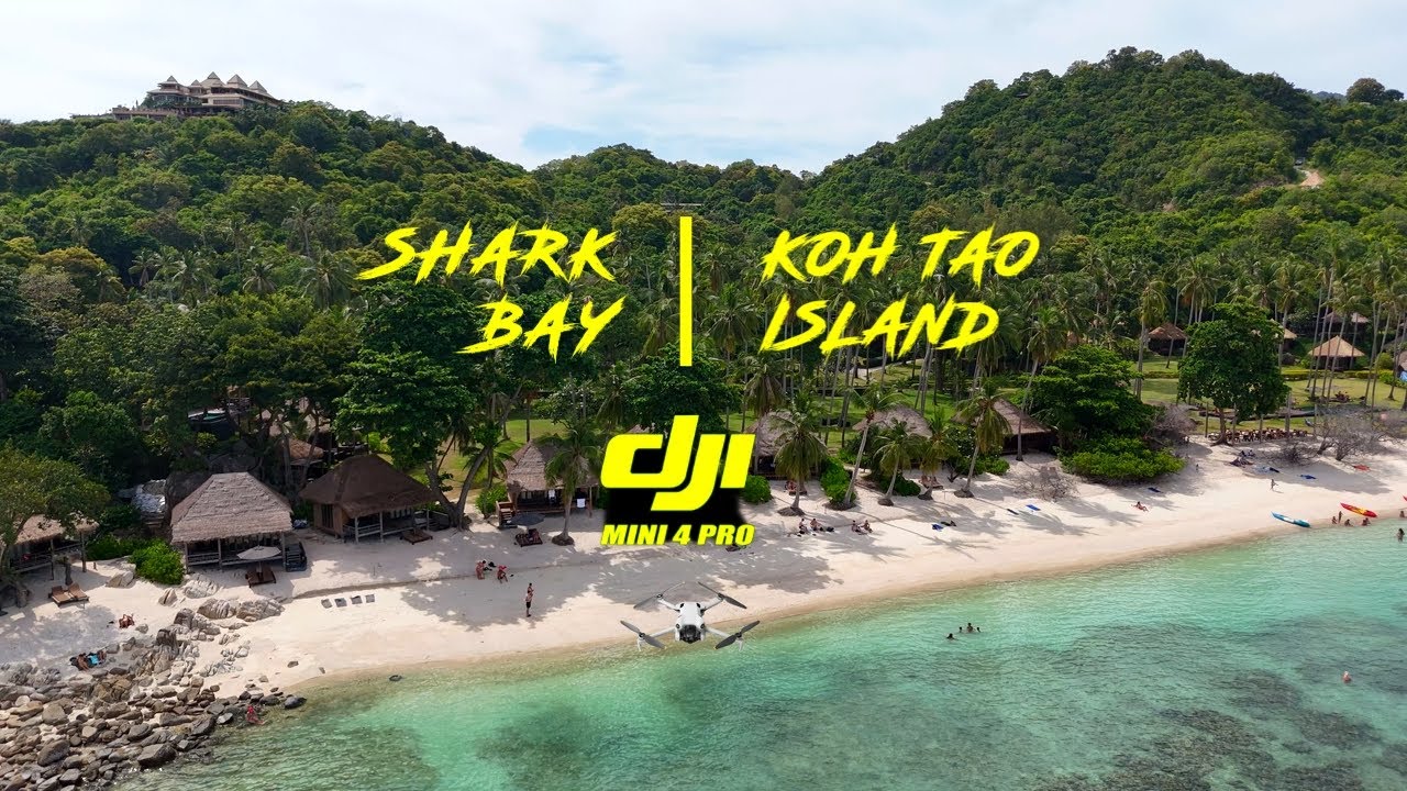 SHARK BAY - KOH TAO ISLAND - JULY 2025