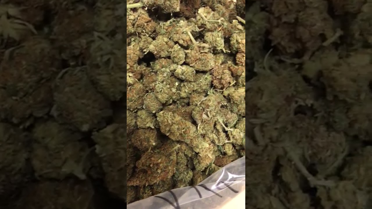 Cannabino&iuml;des cannabis fleur de CBD Apple punch