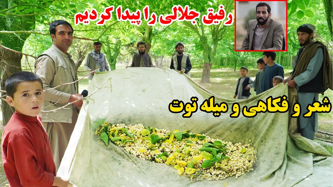 میله توت در چته، شعر و فکاهی،خاطرات مهمان جلالی،  قصه های بدخشانی Badakhshan Afghanistan