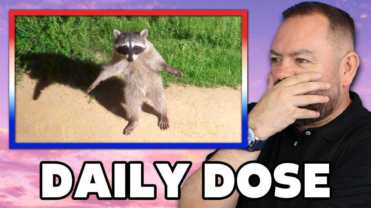 Самые смешные видео с животными (часть 1) РЕАКЦИЯ | ОФИСНЫЕ ПАРНИ РЕАКЦИЯ!!