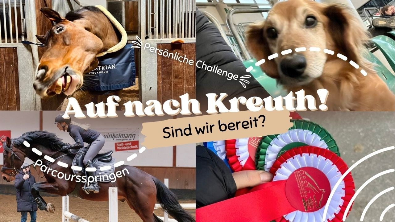 Es geht zum 1. Turnier! 🥳 Sind wir bereit? | Weekly Vlog #290