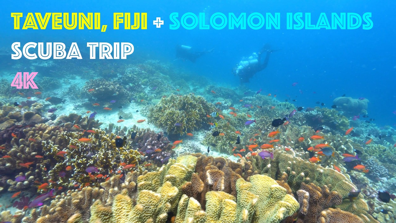 Taveuni, Fiji & Solomons Liveaboard Dive Trip - 4K