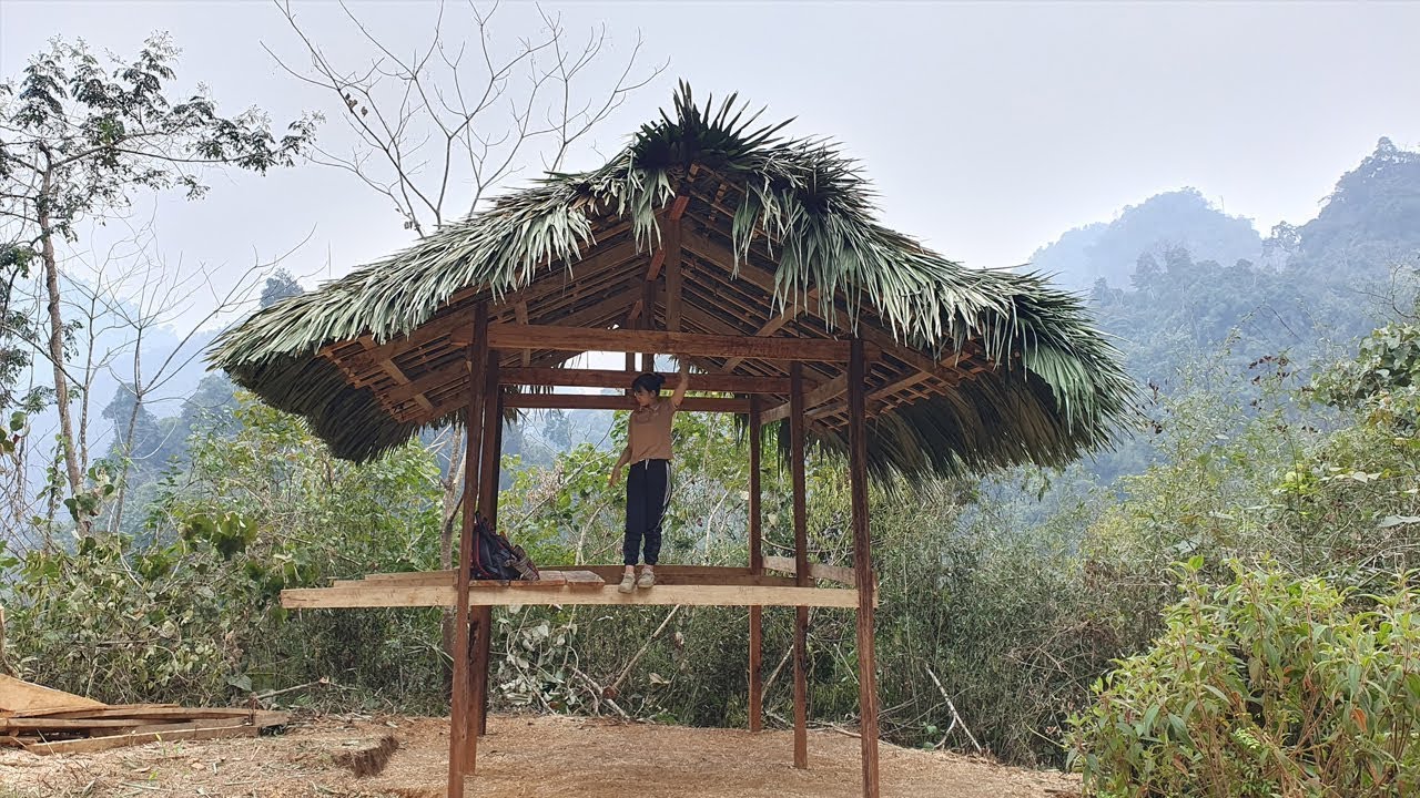 Building a wooden house - living a solitary life in the forest