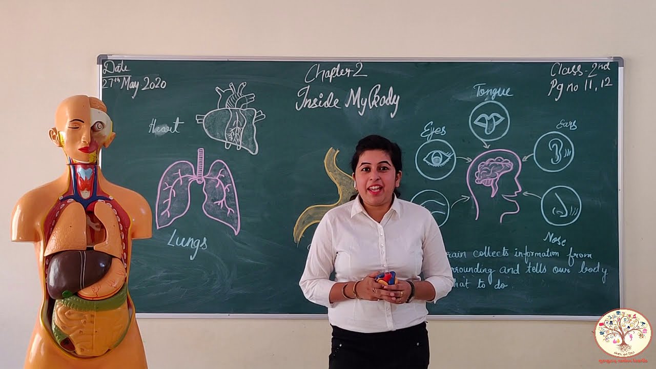 CLASS-2|| EVS || CH-2 || INSIDE MY BODY || INTERNAL ORGANS ||GURUKULAM ONLINE CLASSES
