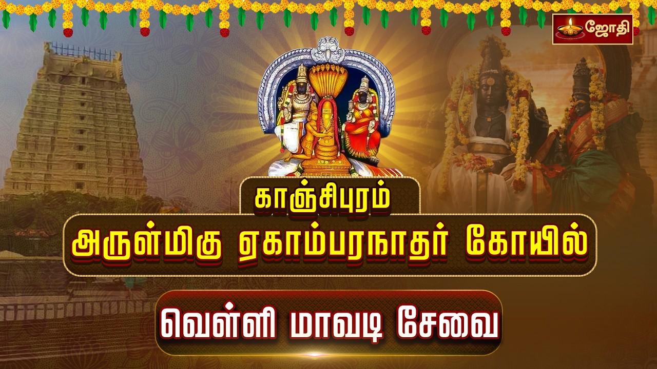 காஞ்சிபுரம் அருள்மிகு ஏகாம்பரநாதர் கோயில் வெள்ளி மாவடி சேவை | Mawadi Seva | Jothitv
