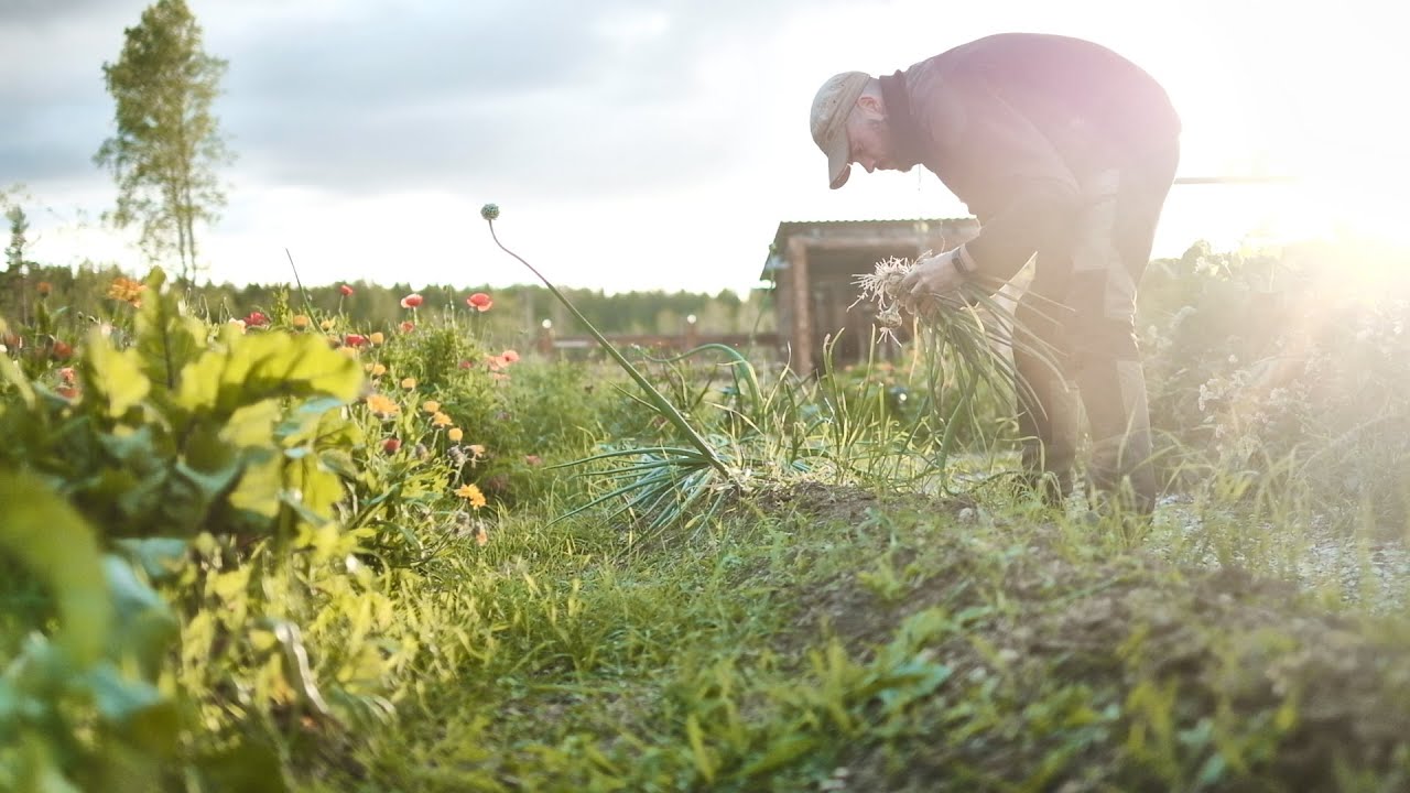 The Garden Is Our Supermarket