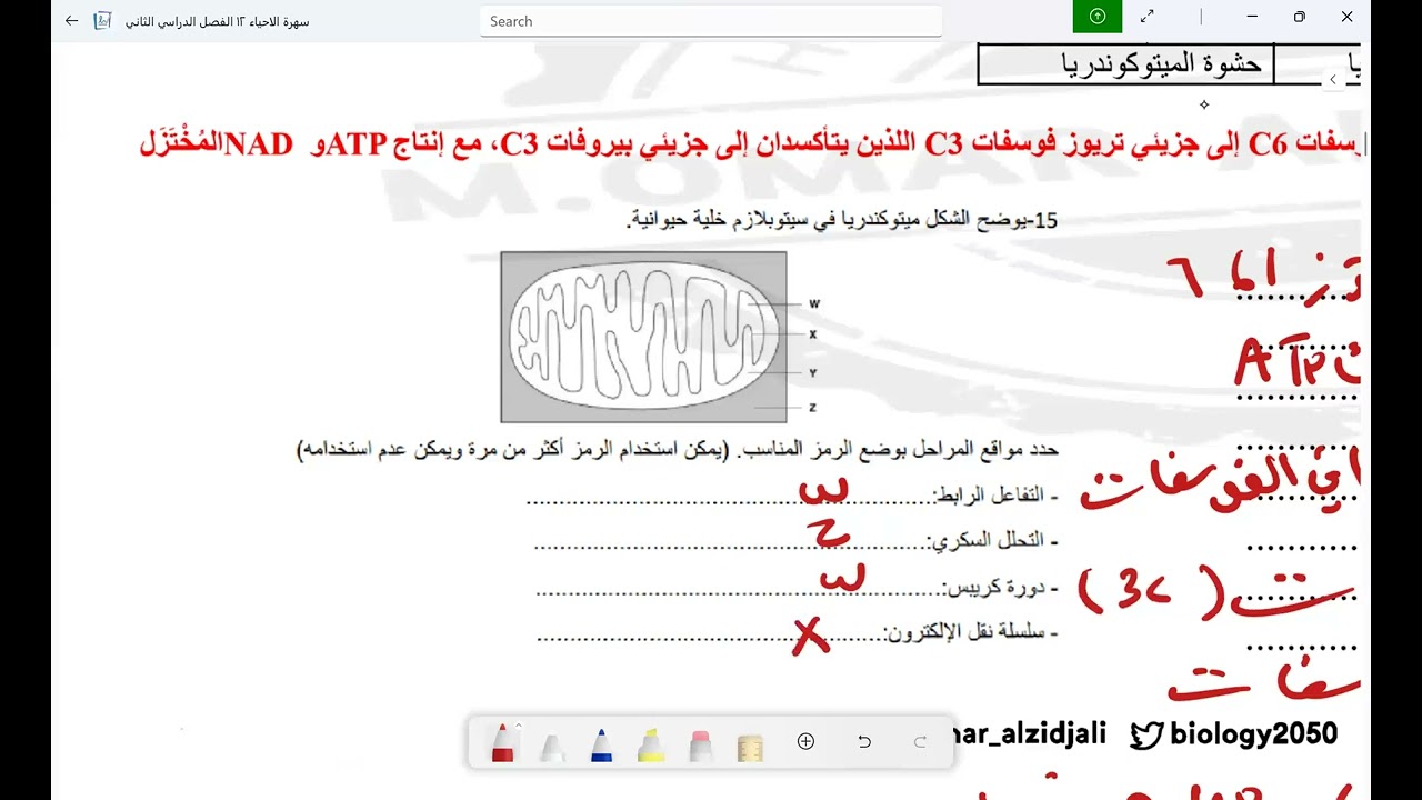 المراجعة النهائية الاحياء 12 دفعة 2025 أكاديمية همم التعليمية