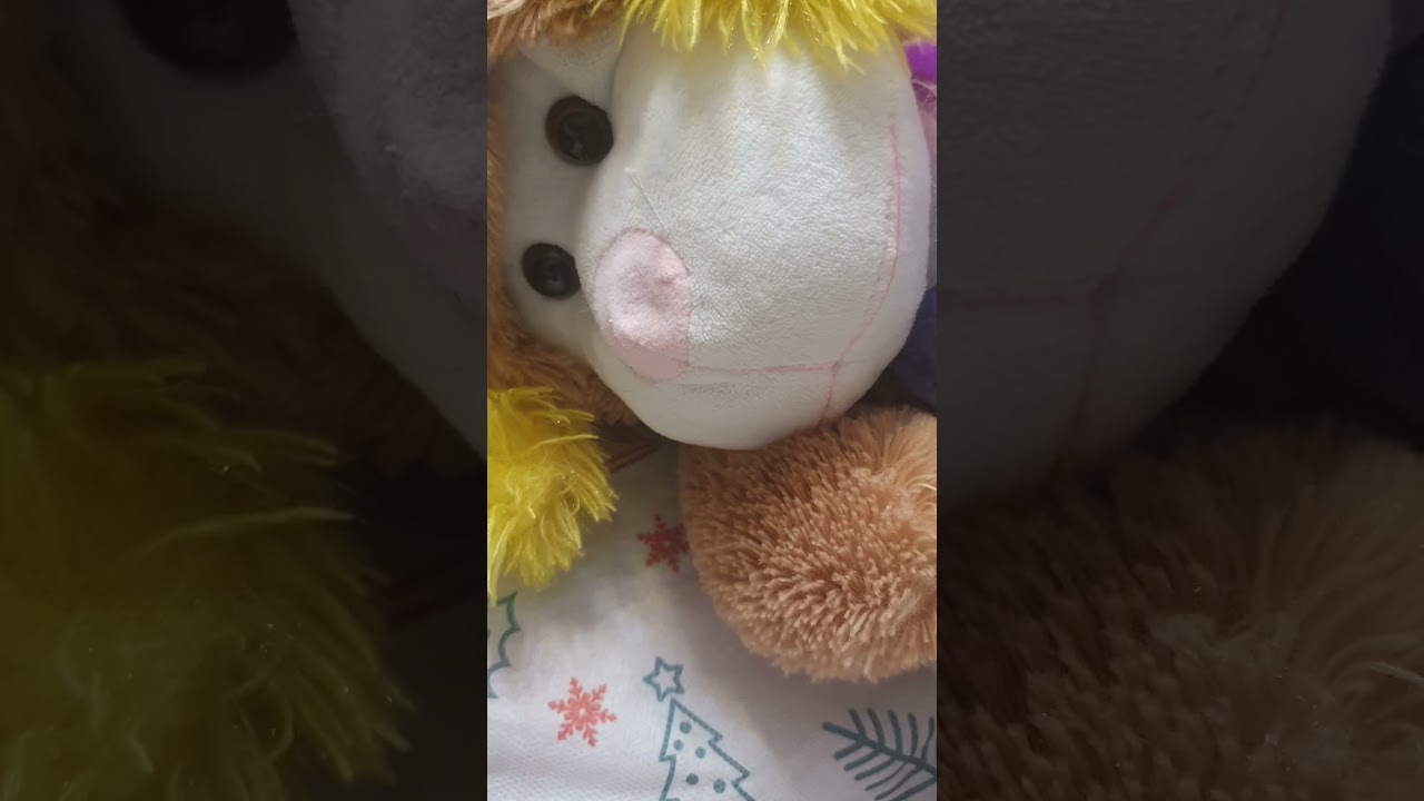 Kayıp Köpek Üzüm