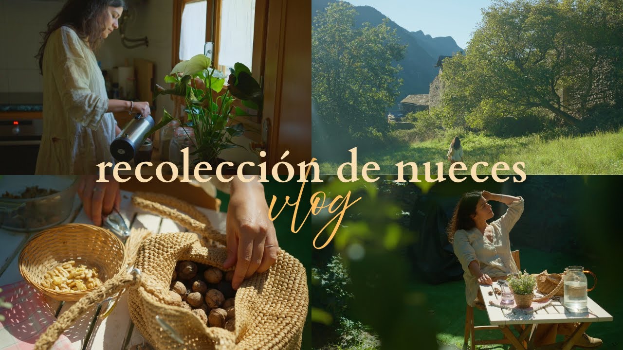 Una argentina en los Pirineos: mate y recolección de nueces 🍂🧉 vida simple y cozy